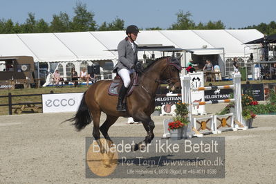 Csi1 two phases 135cm
Showjumping
Nøgleord: andreas schou;chacolot