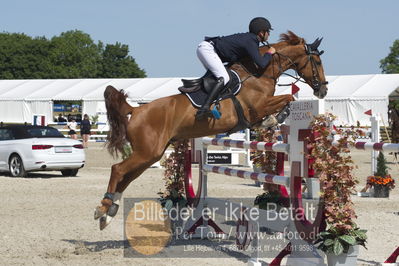 Csi1 two phases 135cm
Showjumping
Nøgleord: ezequiel andres ferro menendez;little chap s