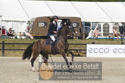 Csi1 two phases 135cm
Showjumping
Nøgleord: alexander godsk;bukata