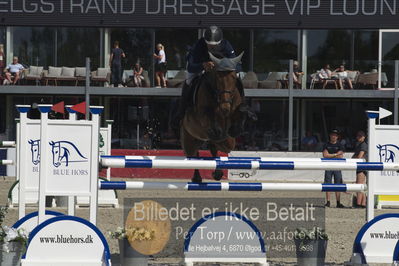 Csi1 two phases 135cm
Showjumping
Nøgleord: carsten titsch;letizia 49