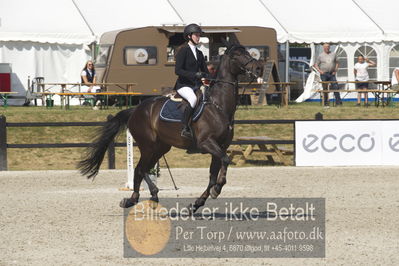 Csi1 two phases 135cm
Showjumping
Nøgleord: annestine kibech hansen;colin junior