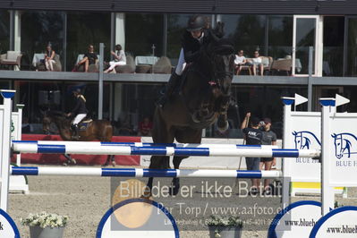 Csi1 two phases 135cm
Showjumping
Nøgleord: annestine kibech hansen;colin junior