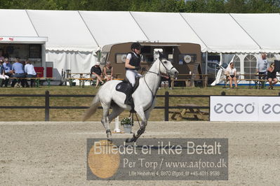 Csi1 two phases 135cm
Showjumping
Nøgleord: georgia timmermann;puge møllers sif