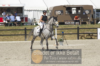 Csi1 two phases 135cm
Showjumping
Nøgleord: nanett larsen;dinaro