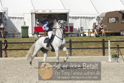 Csi1 two phases 135cm
Showjumping
Nøgleord: jessica vinther jensen;hilton des bruyeres