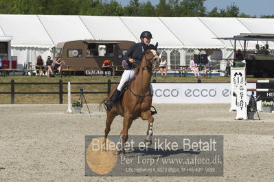 Csi1 two phases 135cm
Showjumping
Nøgleord: simone g stæhr;vitano