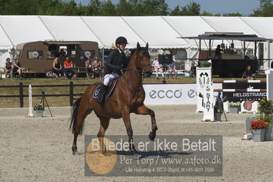 Csi1 two phases 135cm
Showjumping
Nøgleord: josefine sandgaard mørup;de similly edition
