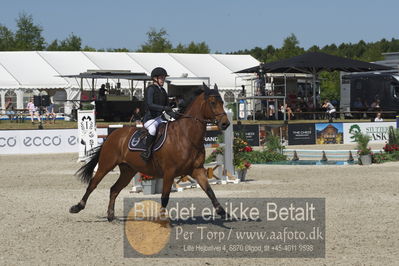 Csi1 two phases 135cm
Showjumping
Nøgleord: josefine sandgaard mørup;de similly edition