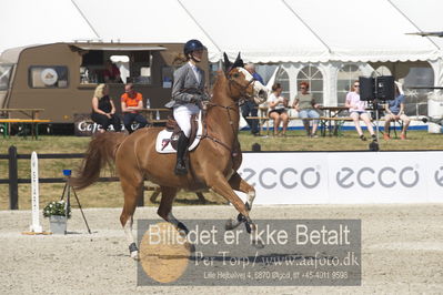 Csi1 two phases 135cm
Showjumping
Nøgleord: caroline rehoff pedersen;carolus-magnus