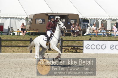 Csi1 two phases 135cm
Showjumping
Nøgleord: helena eva blach;ace of corobell