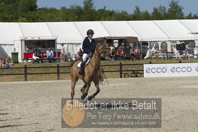 Csi1 two phases 135cm
Showjumping
Nøgleord: ida bech lange;jokinal