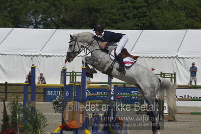 Csio3 two phsaes   140cm
Showjumping
Nøgleord: harry charles;sieco