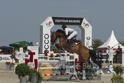 Csio3 two phsaes   140cm
Showjumping
Nøgleord: paul delforge;uno  du chateau