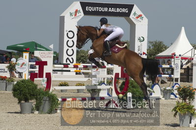 Csio3 two phsaes   140cm
Showjumping
Nøgleord: anna power;edison w