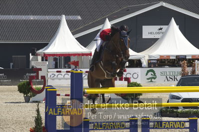 Csio3 two phsaes   140cm
Showjumping
Nøgleord: virgiinie thonon;falbert sb