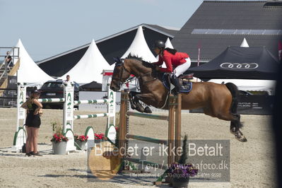 Csio3 two phsaes   140cm
Showjumping
Nøgleord: virgiinie thonon;falbert sb