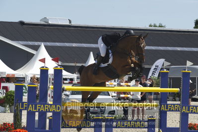 Csio3 two phsaes   140cm
Showjumping
Nøgleord: eva kramer;gazette ask