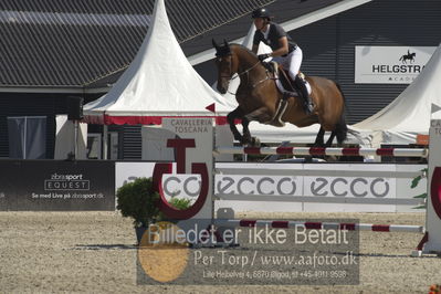 Csio3 two phsaes   140cm
Showjumping
Nøgleord: johan-sebastian gulliksen;calido 76