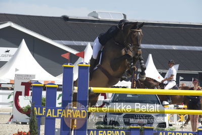 Csio3 two phsaes   140cm
Showjumping
Nøgleord: line karlsen raaholt;abrisco v