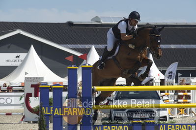 Csio3 two phsaes   140cm
Showjumping
Nøgleord: geir gulliksen;arakorn