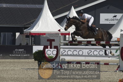 Csio3 two phsaes   140cm
Showjumping
Nøgleord: morgan bordat;star de la beviere