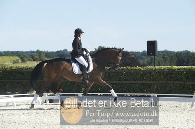 Blue Hors Dressur championat 2018
4 års klassen
Nøgleord: didde marie therkildsen;munkebjergs zeion