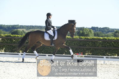 Blue Hors Dressur championat 2018
4 års klassen
Nøgleord: didde marie therkildsen;munkebjergs zeion