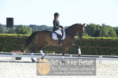 Blue Hors Dressur championat 2018
4 års klassen
Nøgleord: didde marie therkildsen;munkebjergs zeion