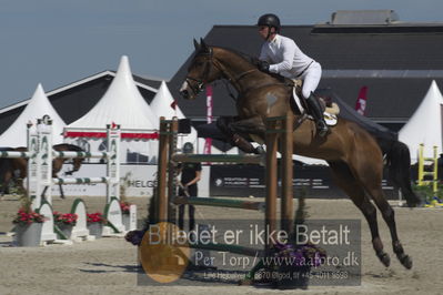 Csio3 two phsaes   140cm
Showjumping
Nøgleord: richard howley;cruising star