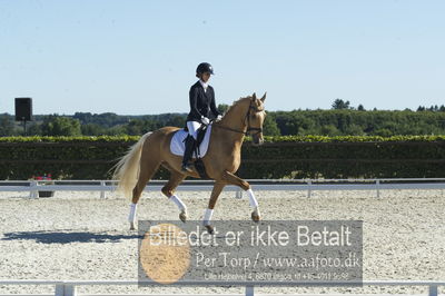 Blue Hors Dressur championat 2018
4 års klassen
Nøgleord: staulykke's zidane;nana berg christensen