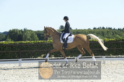 Blue Hors Dressur championat 2018
4 års klassen
Nøgleord: staulykke's zidane;nana berg christensen