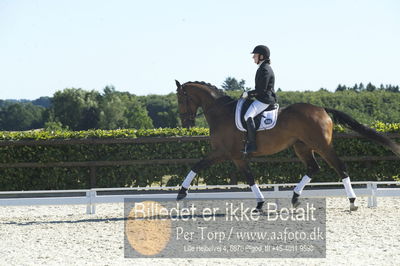 Blue Hors Dressur championat 2018
4 års klassen
Nøgleord: didde marie therkildsen;munkebjergs zeion