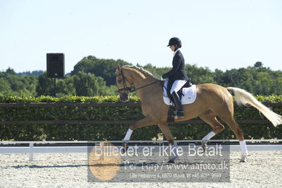 Blue Hors Dressur championat 2018
4 års klassen
Nøgleord: staulykke's zidane;nana berg christensen