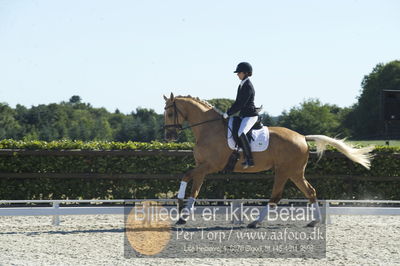 Blue Hors Dressur championat 2018
4 års klassen
Nøgleord: staulykke's zidane;nana berg christensen