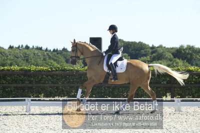 Blue Hors Dressur championat 2018
4 års klassen
Nøgleord: staulykke's zidane;nana berg christensen