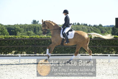 Blue Hors Dressur championat 2018
4 års klassen
Nøgleord: staulykke's zidane;nana berg christensen