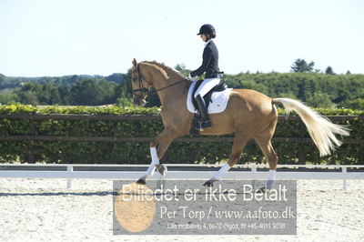 Blue Hors Dressur championat 2018
4 års klassen
Nøgleord: staulykke's zidane;nana berg christensen