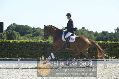 Blue Hors Dressur championat 2018
4 års klassen
Nøgleord: bruno nielsen;zacho