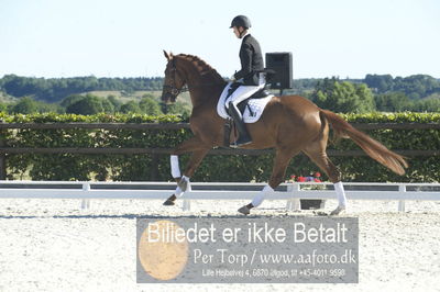 Blue Hors Dressur championat 2018
4 års klassen
Nøgleord: bruno nielsen;zacho