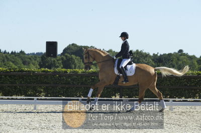 Blue Hors Dressur championat 2018
4 års klassen
Nøgleord: staulykke's zidane;nana berg christensen