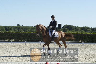 Blue Hors Dressur championat 2018
4 års klassen
Nøgleord: bruno nielsen;zacho