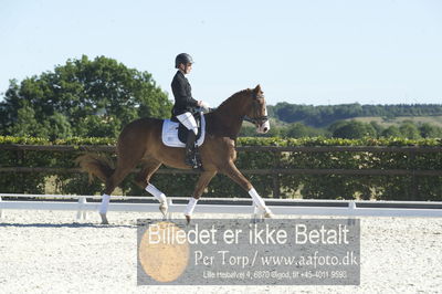 Blue Hors Dressur championat 2018
4 års klassen
Nøgleord: nicola le juncker iversen;red olivia