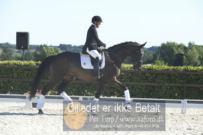 Blue Hors Dressur championat 2018
4 års klassen
Nøgleord: mikael kettelsen;gucci tm