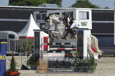 Csio3 two phsaes   140cm
Showjumping
Nøgleord: karoline vistesen graversen;sir  edward
