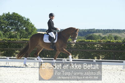 Blue Hors Dressur championat 2018
4 års klassen
Nøgleord: nicola le juncker iversen;red olivia