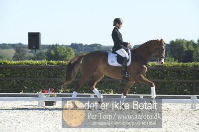 Blue Hors Dressur championat 2018
4 års klassen
Nøgleord: nicola le juncker iversen;red olivia