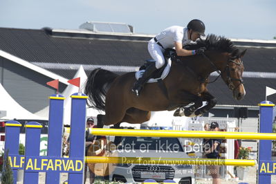 Csio3 two phsaes   140cm
Showjumping
Nøgleord: søren møller rohde;velerne ask