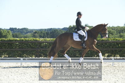 Blue Hors Dressur championat 2018
4 års klassen
Nøgleord: nicola le juncker iversen;red olivia