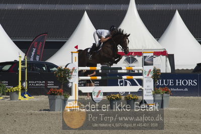 Csio3 two phsaes   140cm
Showjumping
Nøgleord: fredrik spetz;janou