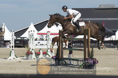 Csio3 two phsaes   140cm
Showjumping
Nøgleord: fredrik spetz;janou